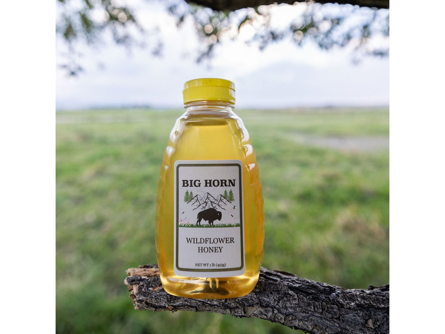 Big Horn Bison Wildflower Pasteurized Honey - 16 oz